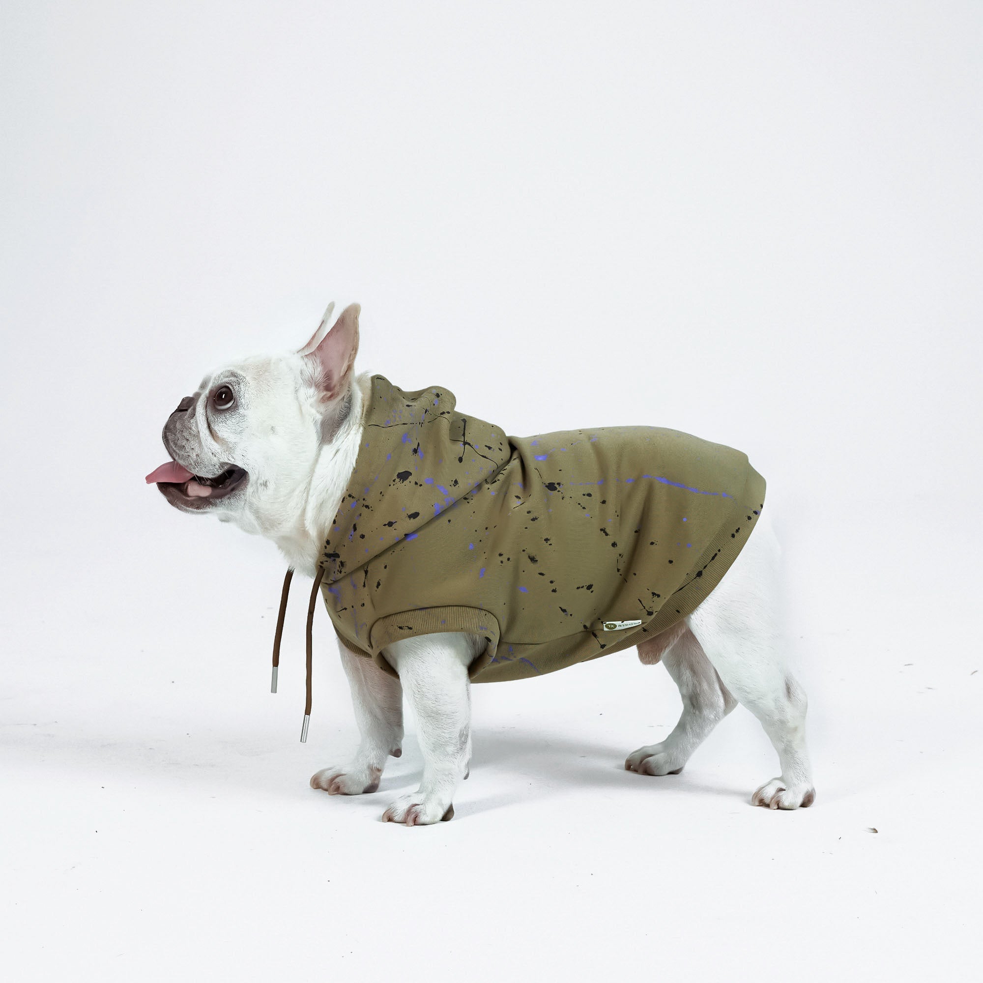 Army hotsell dog sweater