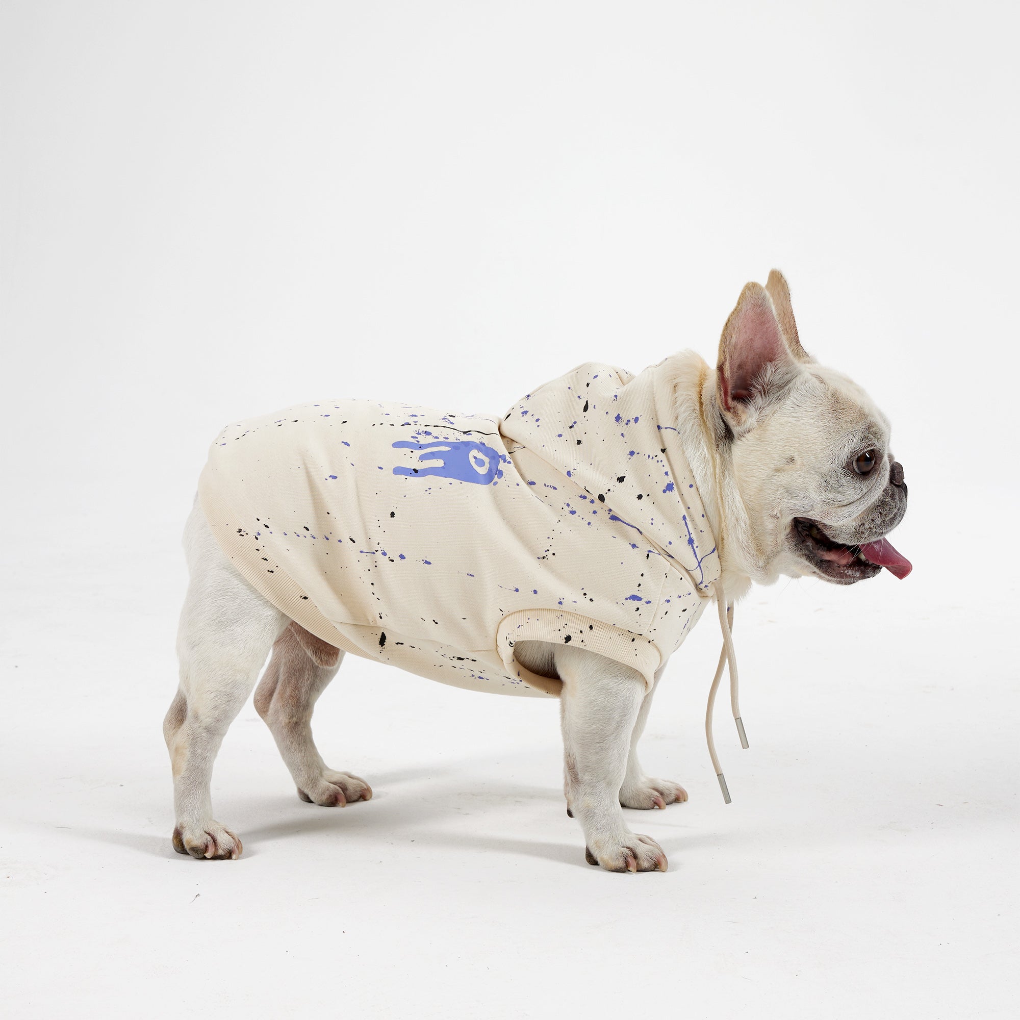 White best sale dog hoodie