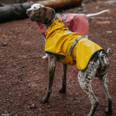 BlackDoggy | Waterproof Dog Rain Jacket/Riancoat - Yellow