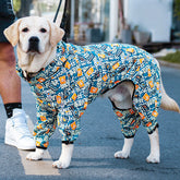 Mahjong Dog Raincoats