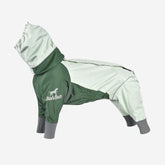 BlackDoggy | Four Leg Covered Dog Raincoat - Green