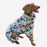 Corgiology | Ultimate Winter Warmth and Skiing/Snow Dogs Jacket,Blue