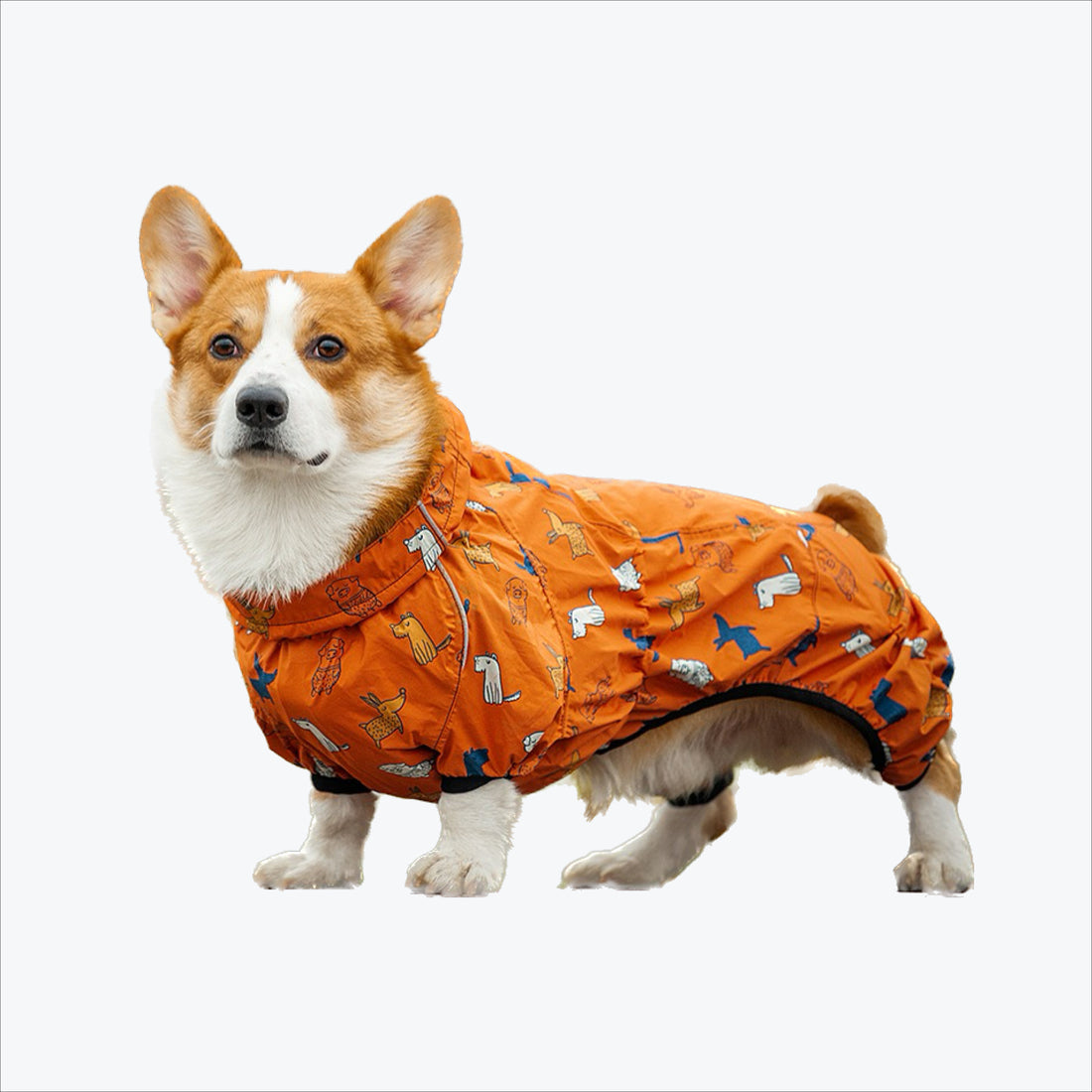 Dog Raincoats & Jackets