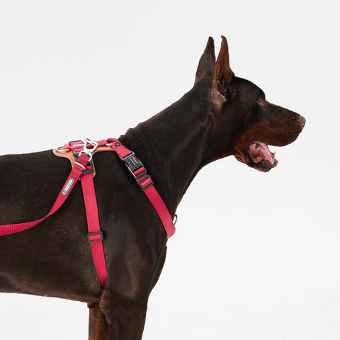 HiDream | Easy Walk Dog Harness,Red