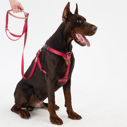 HiDream | Easy Walk Dog Harness & Leash Kit,Red