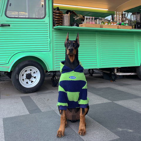 Pupwonders | Blue & Green Striped Sherpa Fleece Dog Sweater,Green