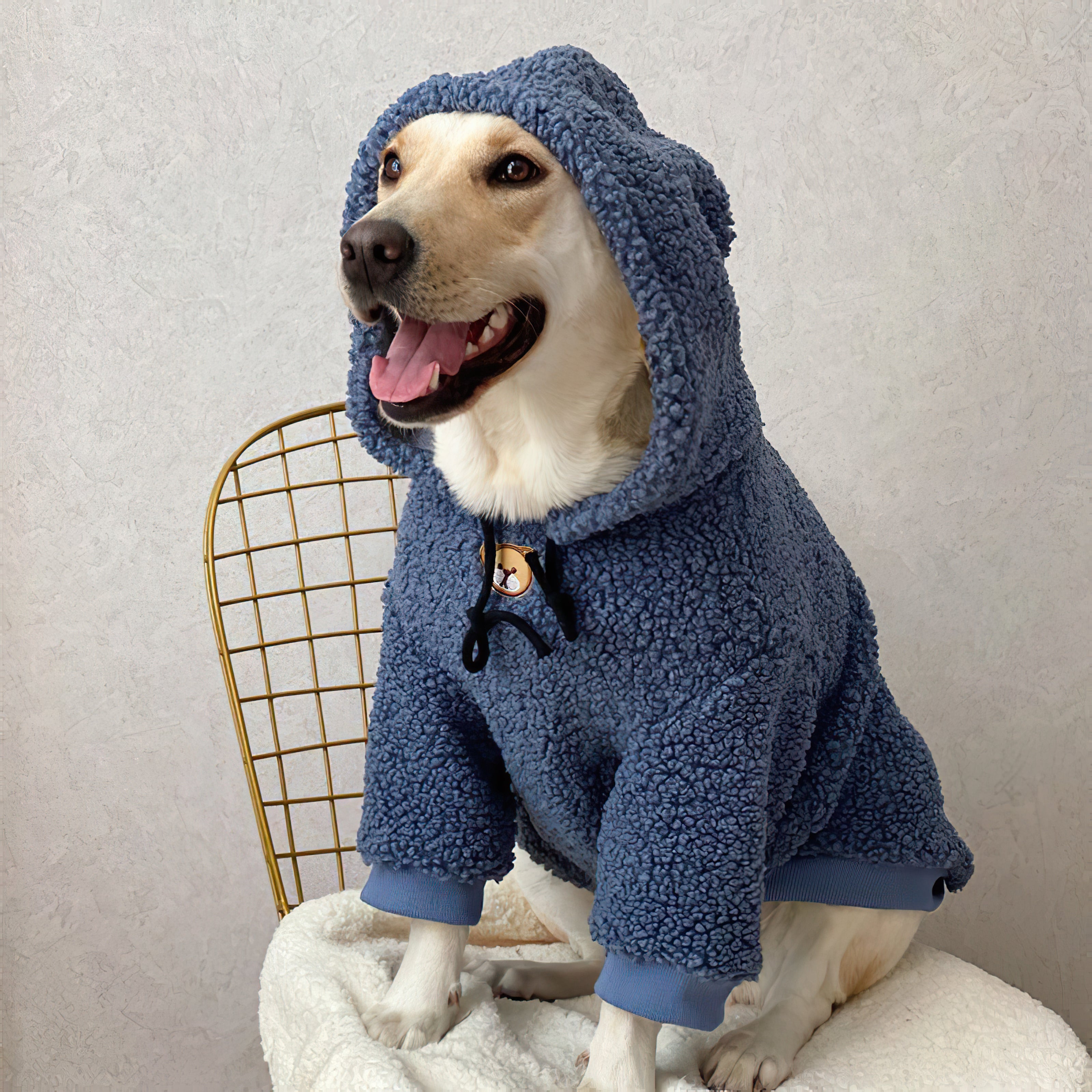 Pupwonders | Shearling-Lined Warm Dog Hoodie,Blue