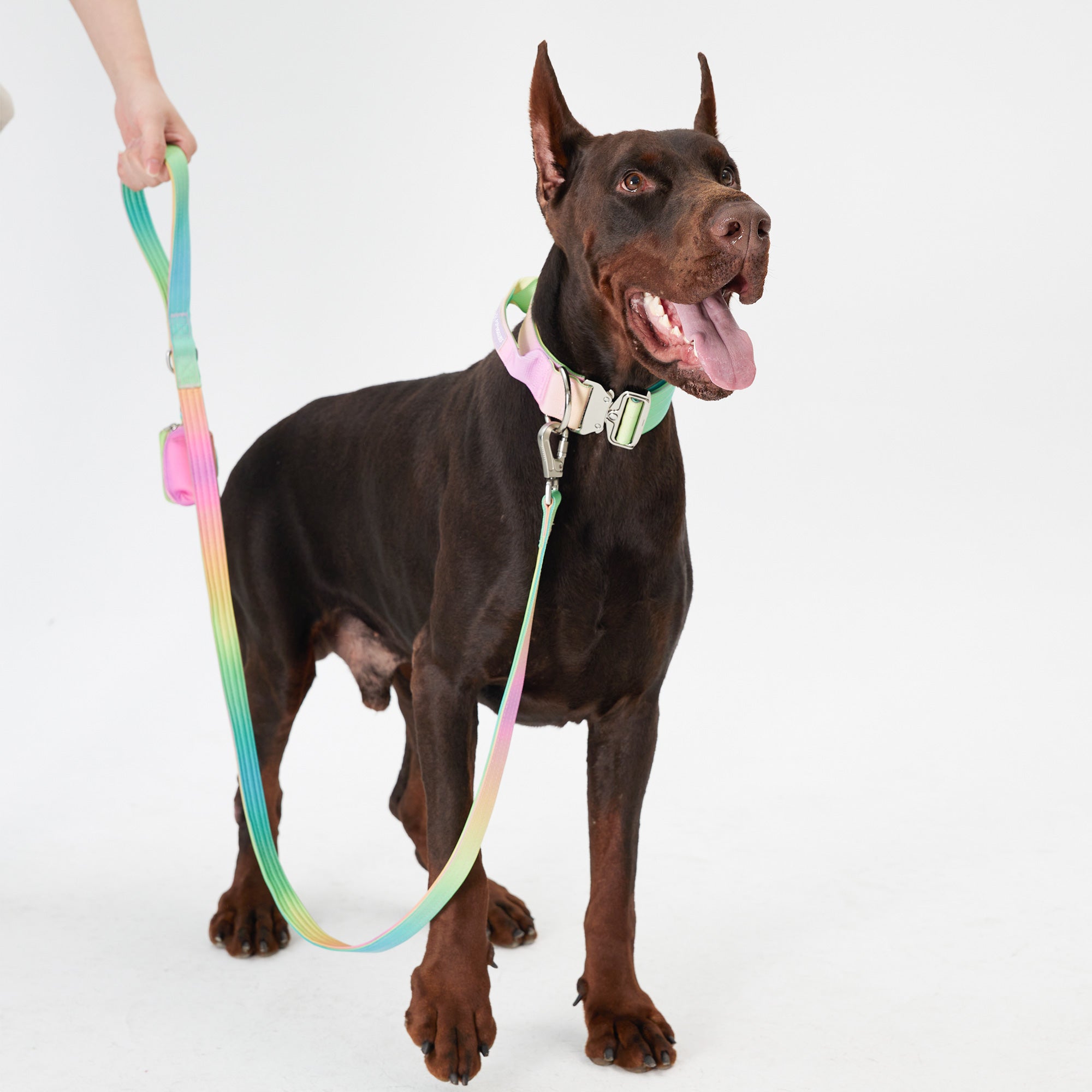 Poop Bag Carrier - Candy,Candy