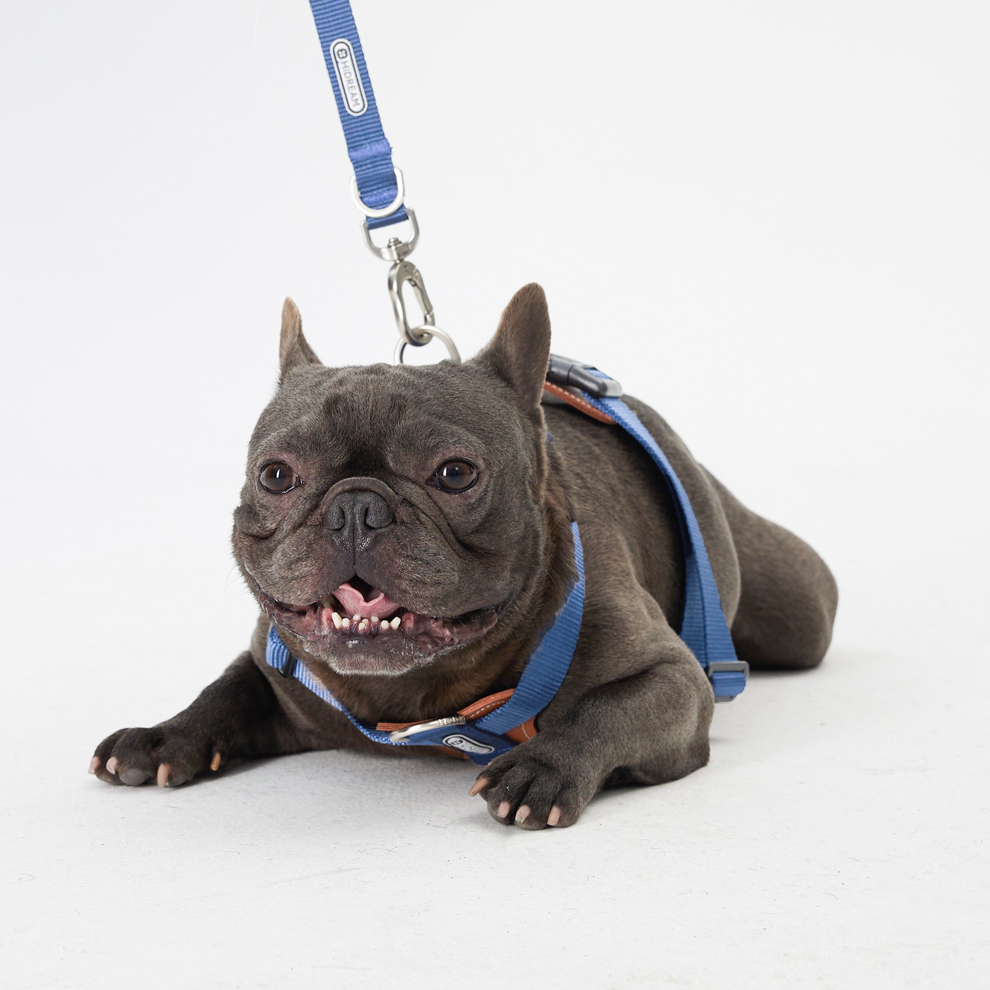 Bulldog grade harness best sale