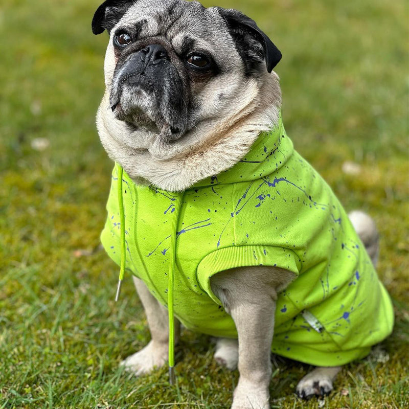 Green dog hoodie best sale