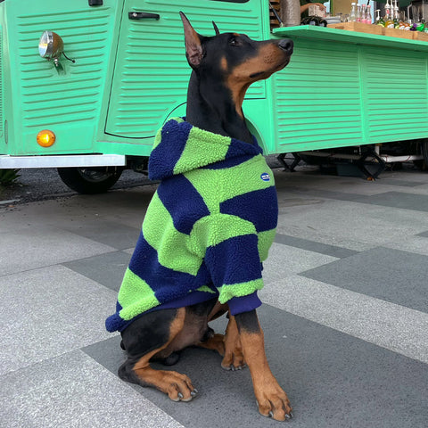 Pupwonders | Blue & Green Striped Sherpa Fleece Dog Sweater