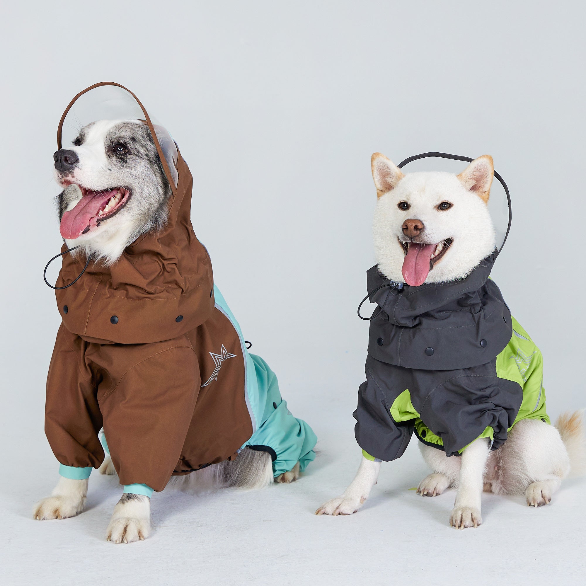 Corgiology | Colorful Detachable Dog Raincoat