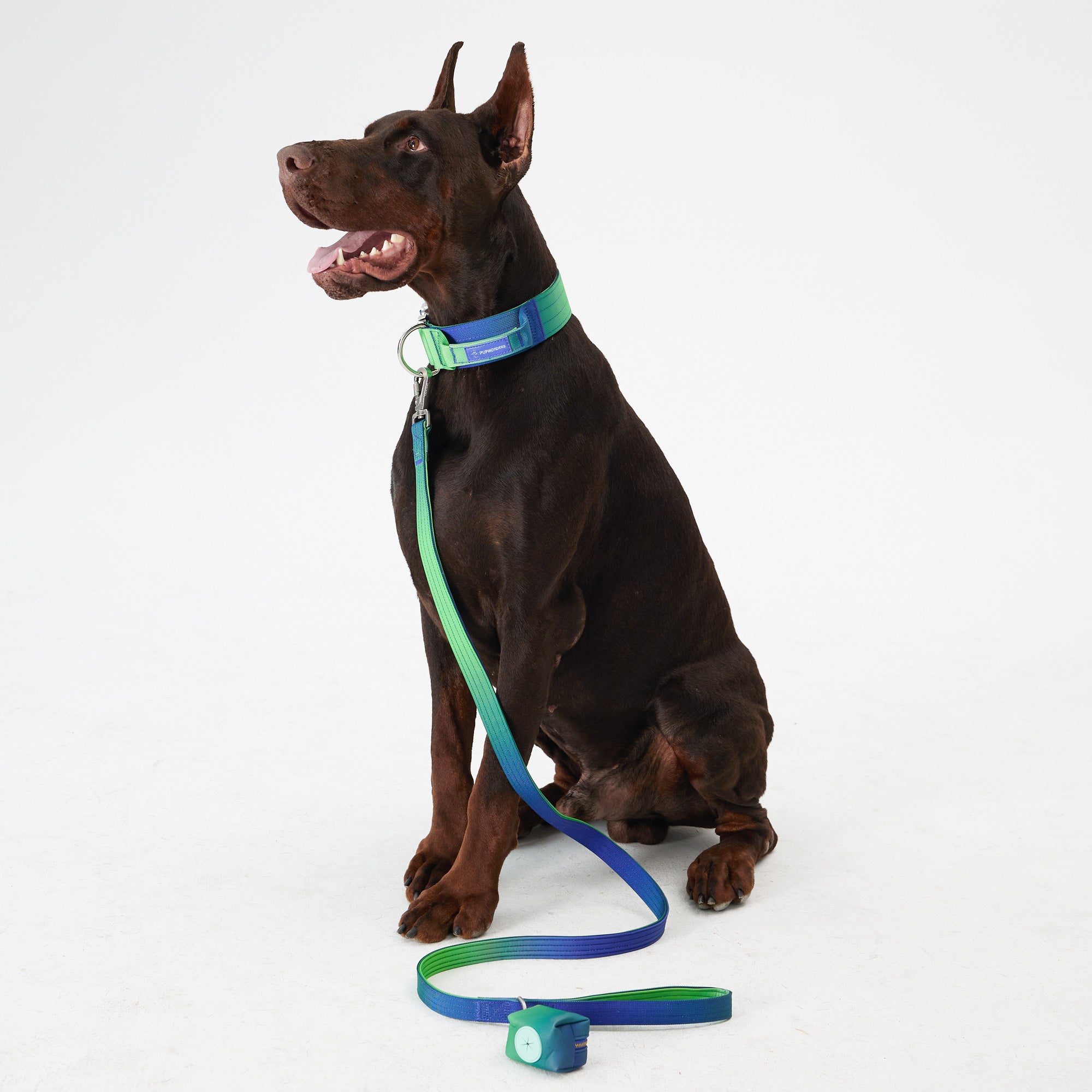 Complete Control Dog Collar & Leash Set - Aurora,Aurora