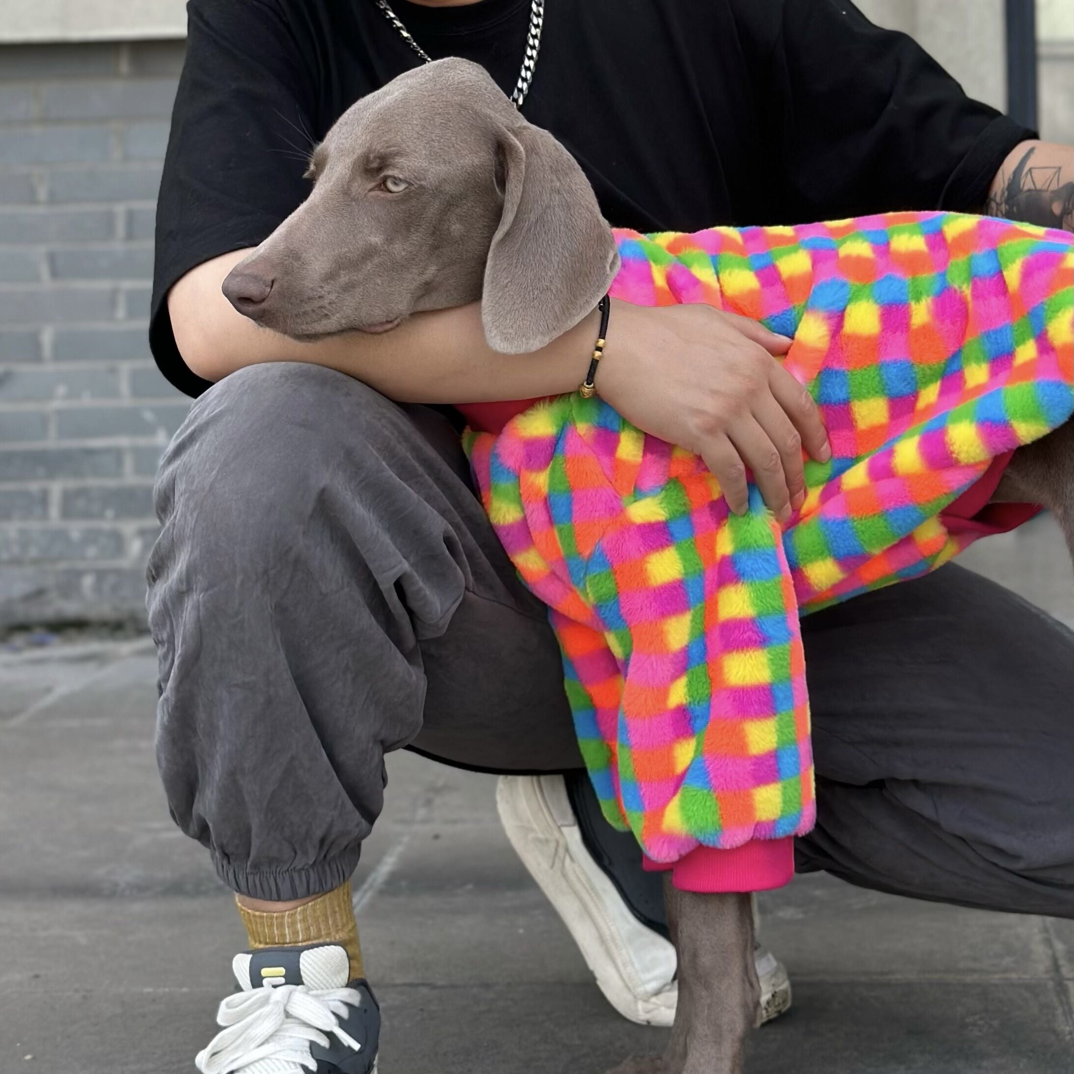 Pupwonders | Rainbow Checkered Dog Hoodie,Rainbow