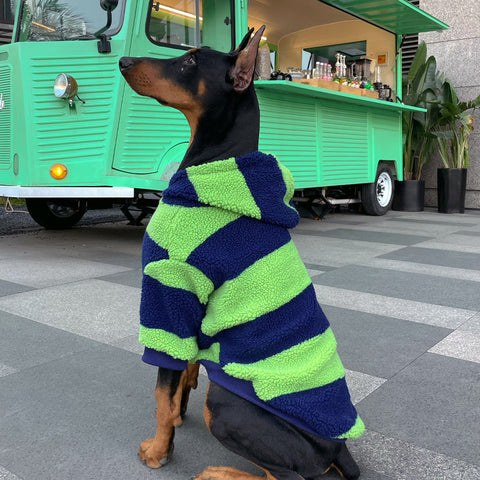 Pupwonders | Blue & Green Striped Sherpa Fleece Dog Sweater