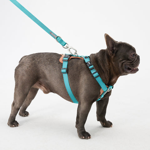 HiDream | Easy Walk Dog Harness,Green