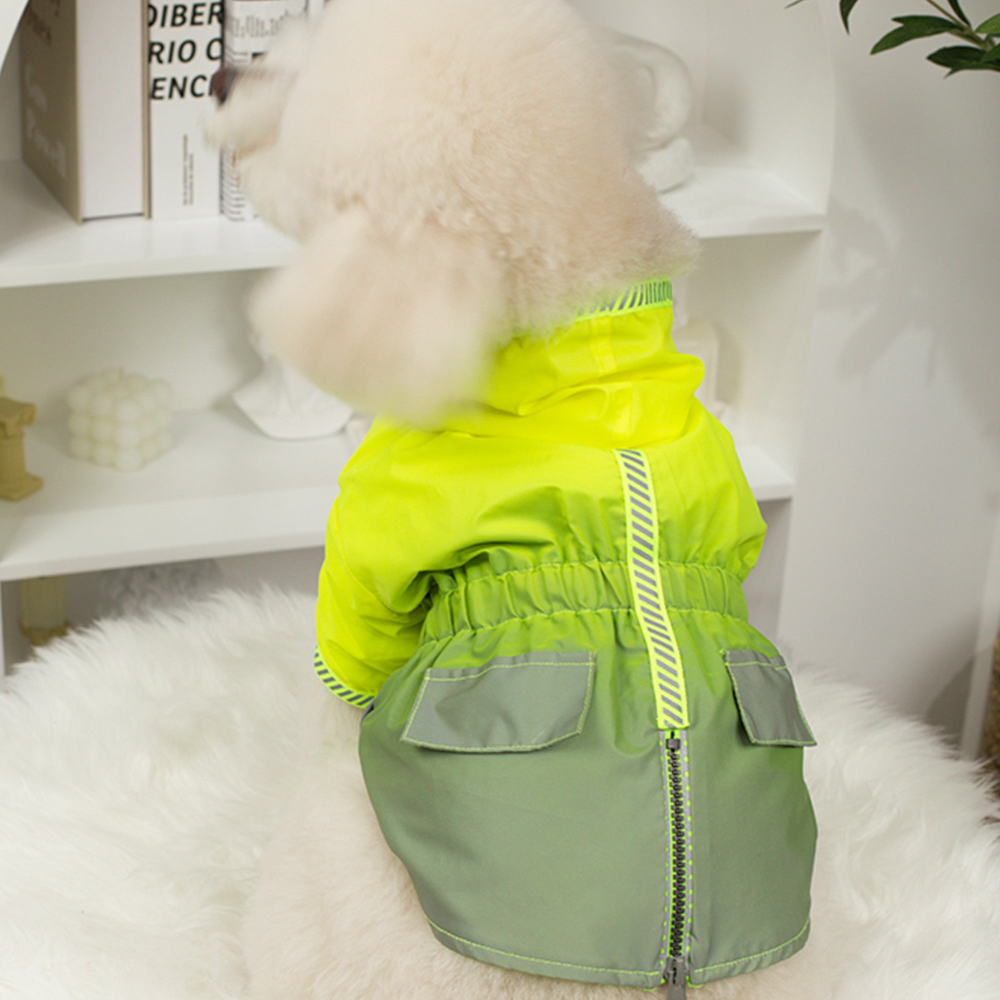 Pupwonders | Fluorescent Gradient Green Dog Jacket