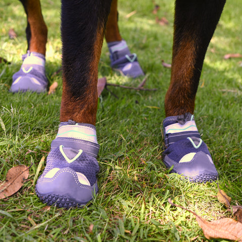 All-Terrain Dog Boots