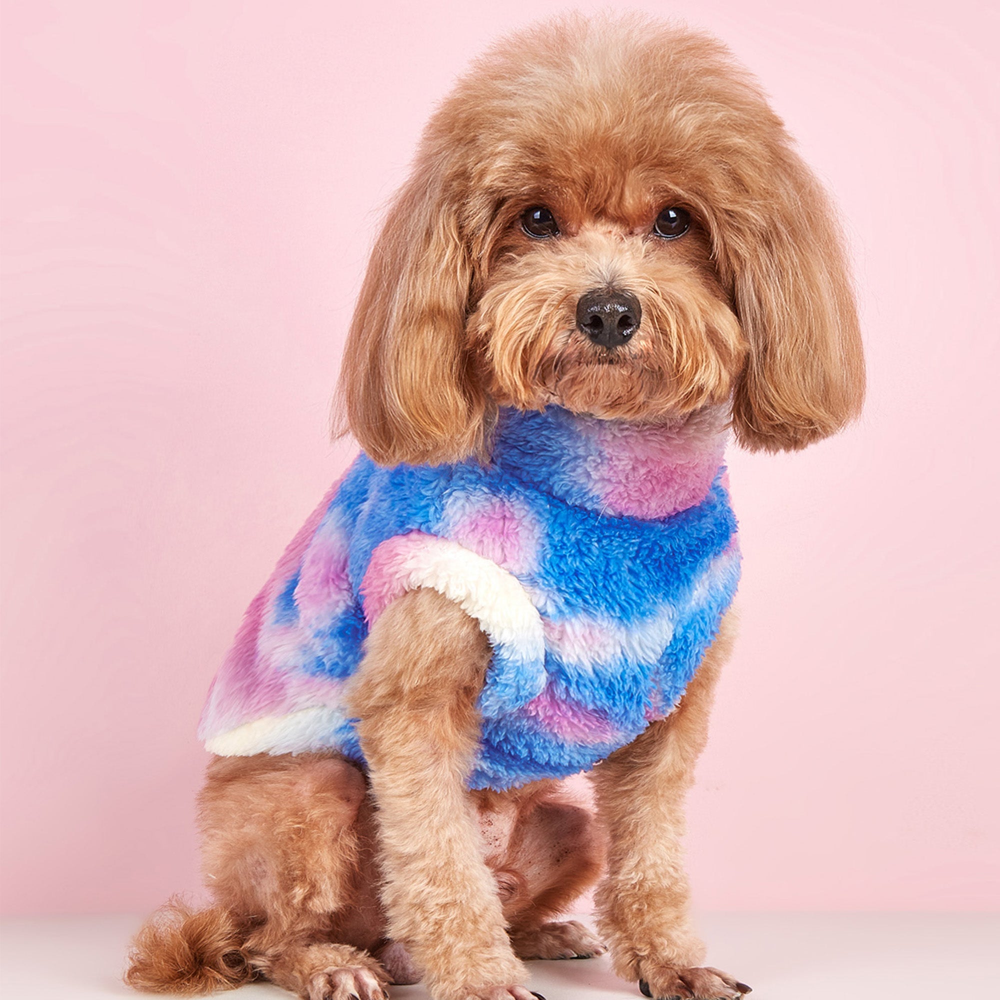 Pupwonders | Dual-Sided Plush Tie-Dye High-Neck Dog Hoodie,Purple