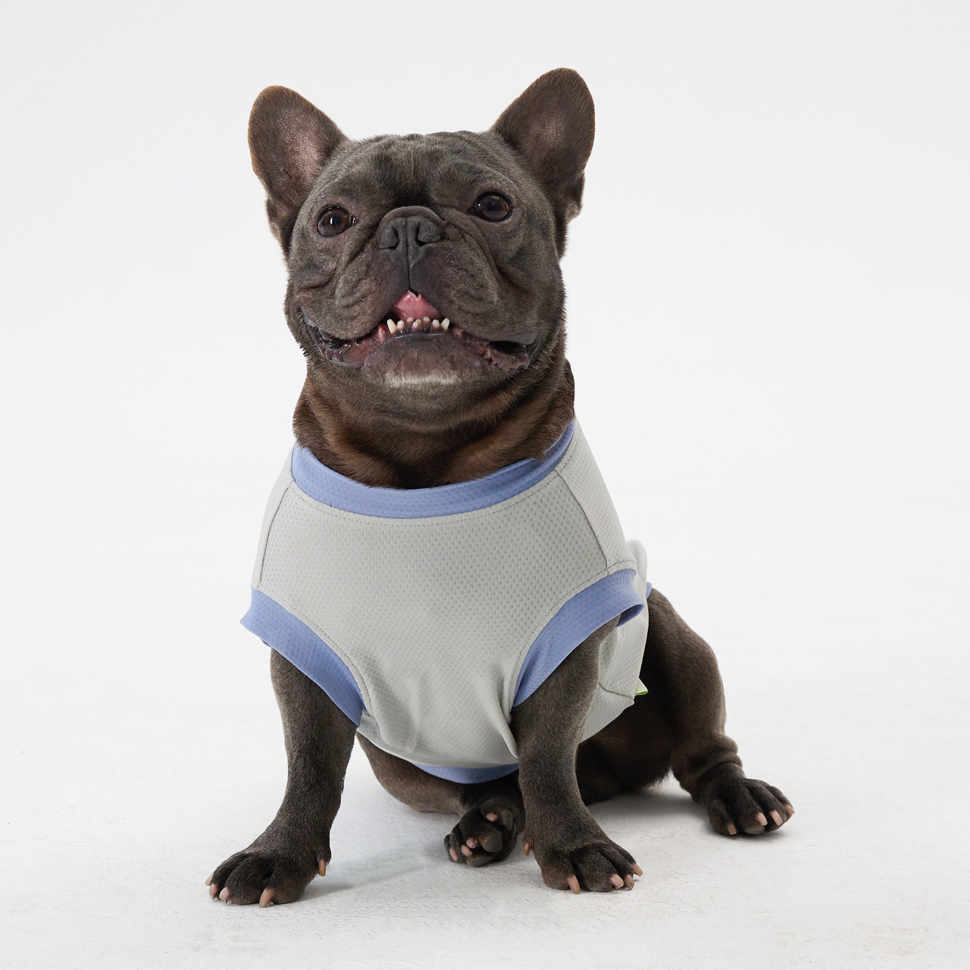 Dog Cooling Vest - Grey