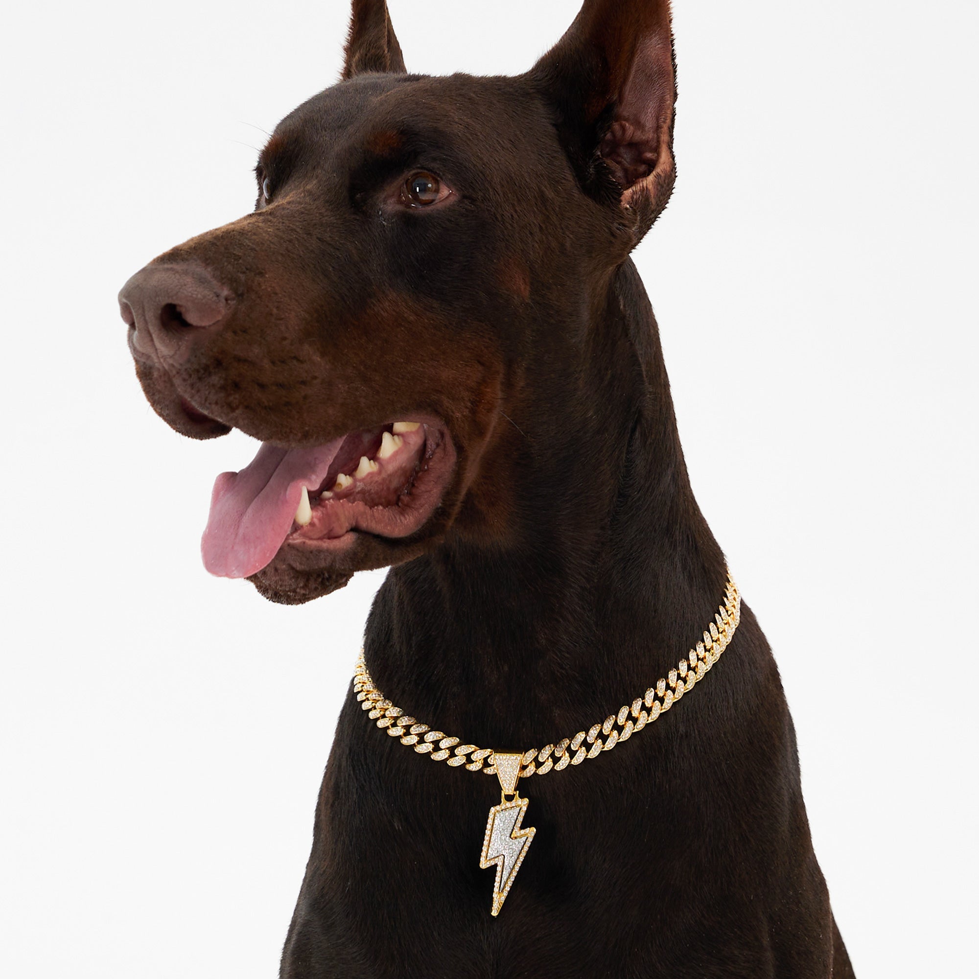 Gold Dog Chain Collar Diamond Decorated Cuban Link Dog Collar Pupwonders Gold 21.7 inch 55cm