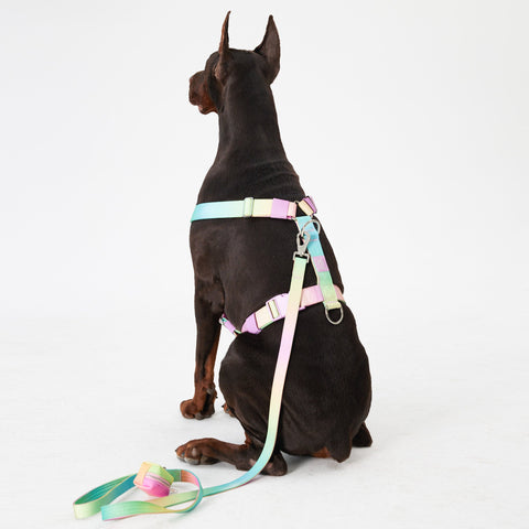 Complete Control Dog Harness - Candy,Candy