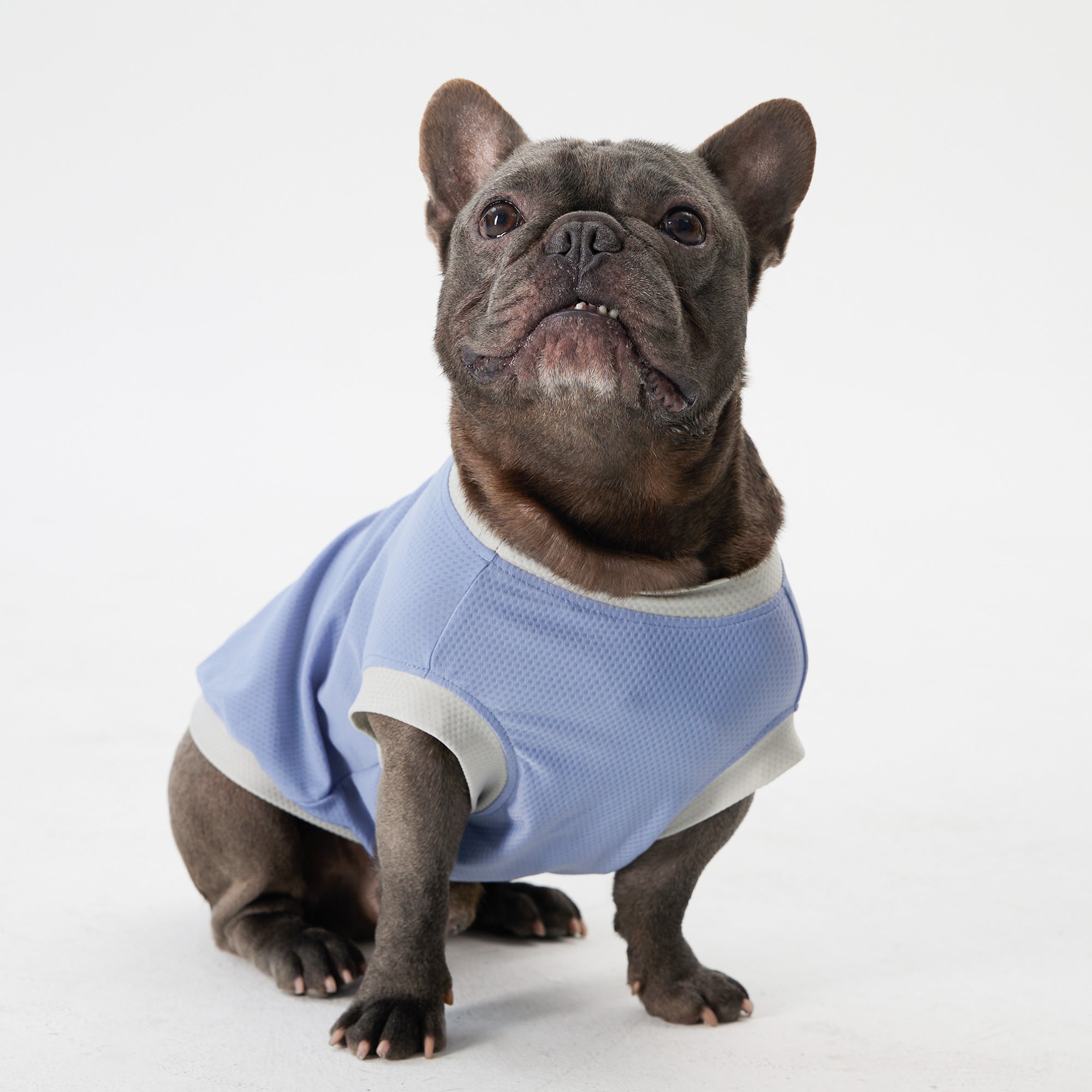 Dog Cooling Vest - Blue,Blue