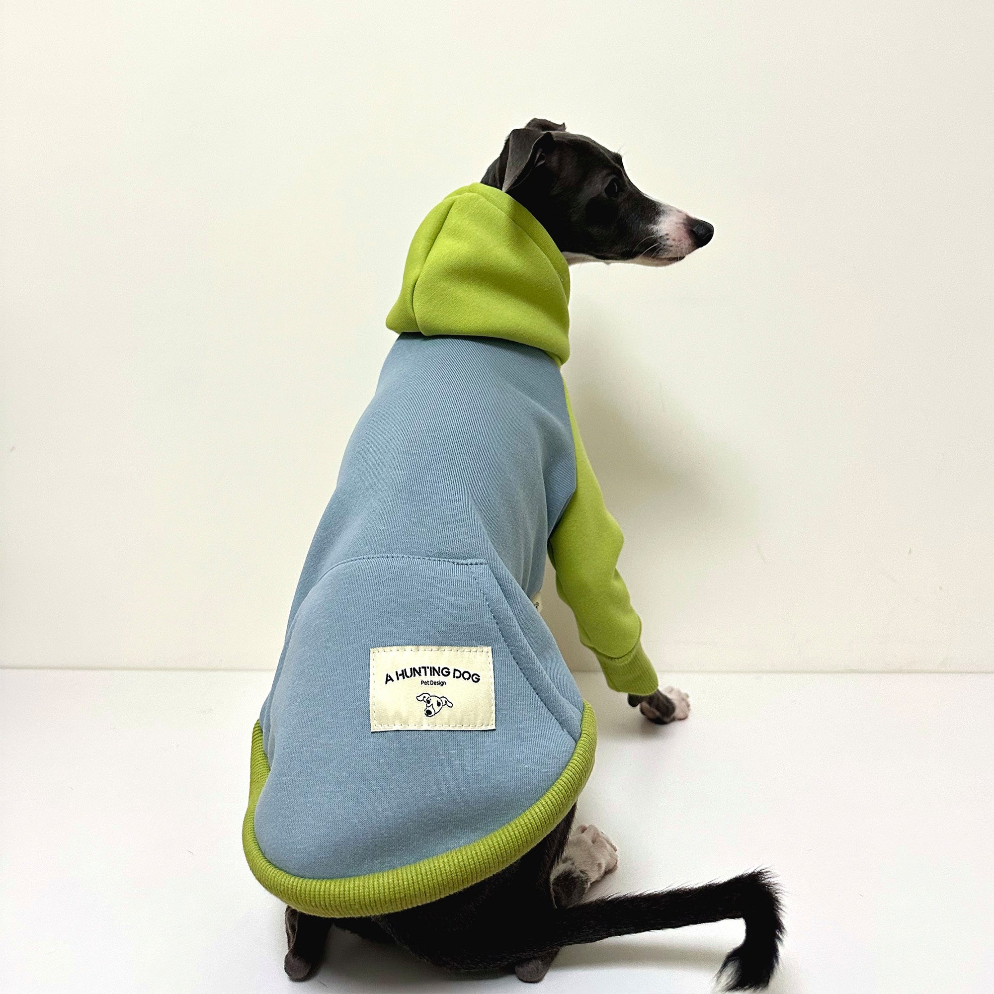 Color block dog hoodie best sale