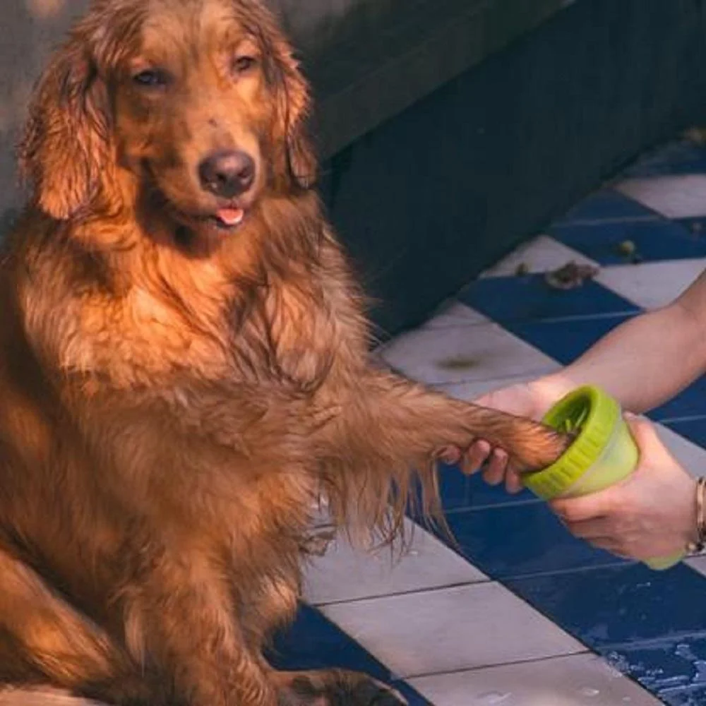 Pupwonders | Pet Paw Cleaner