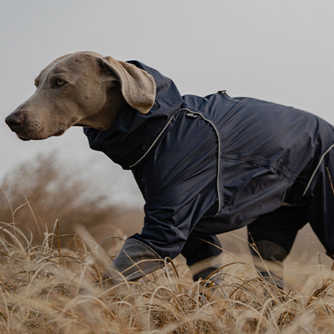 BlackDoggy | Four Leg Covered Dog Raincoat - Blue,Blue