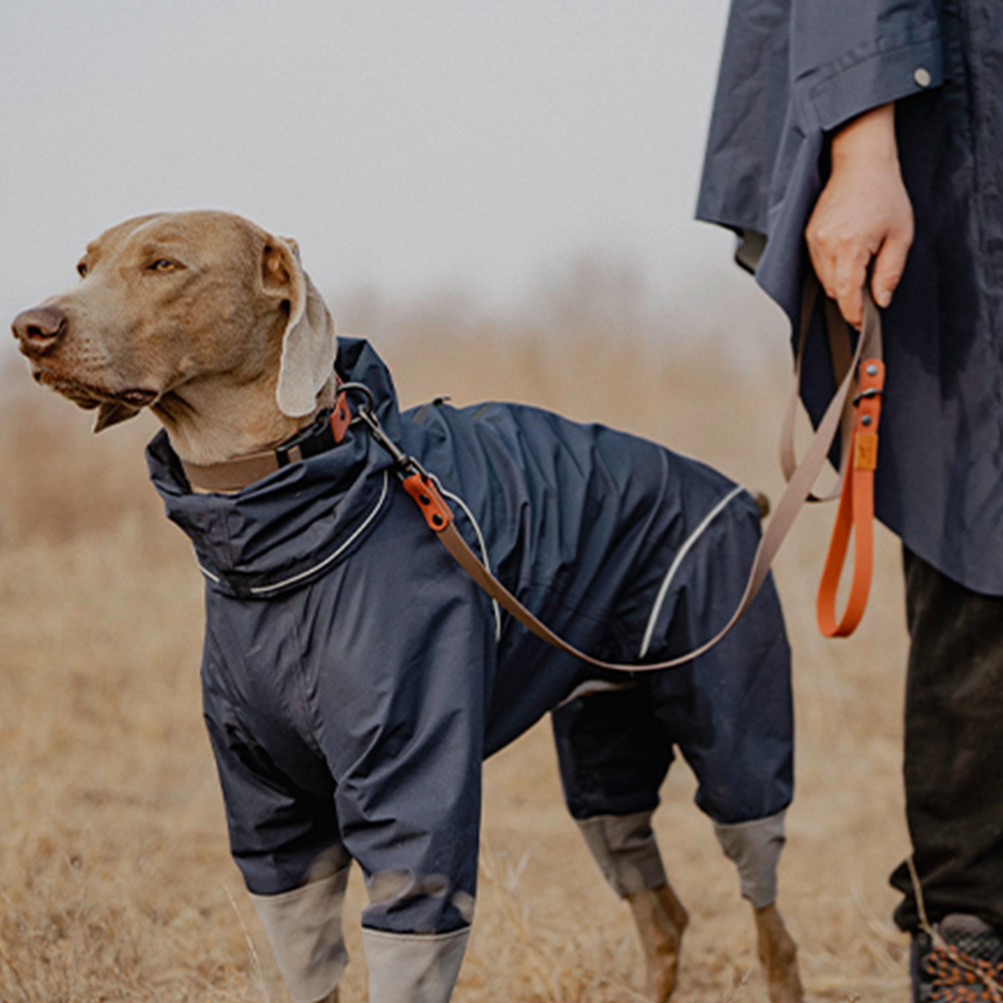 Four Leg Covered Dog Raincoat - Blue