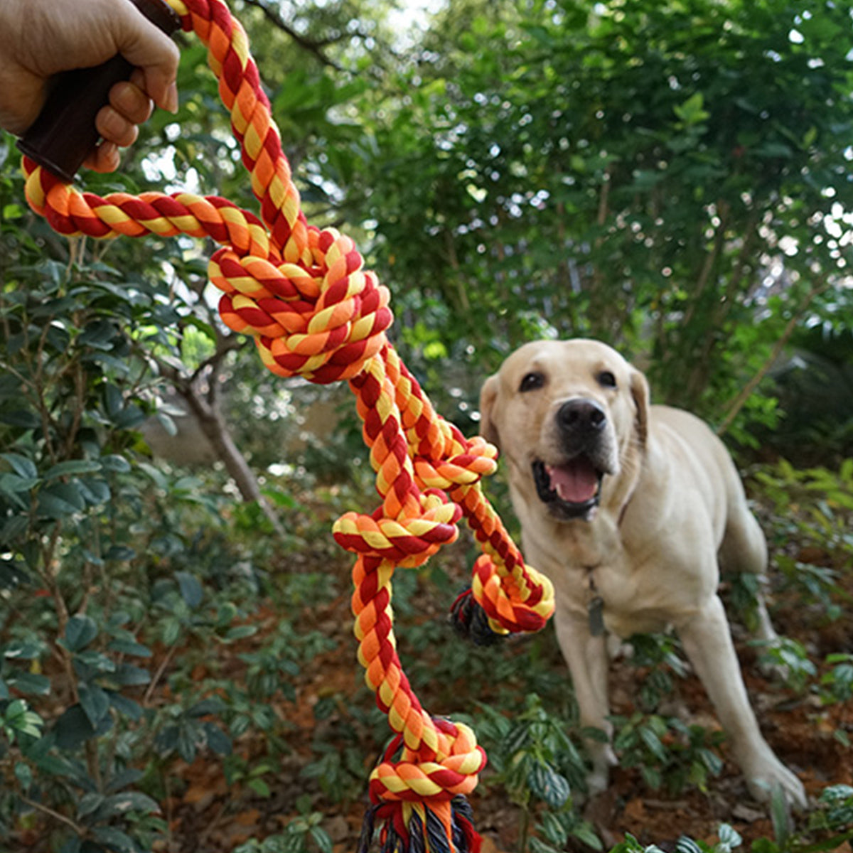 Pupwonders | Interactive Cotton Rope Knot Pet Toy,Orange