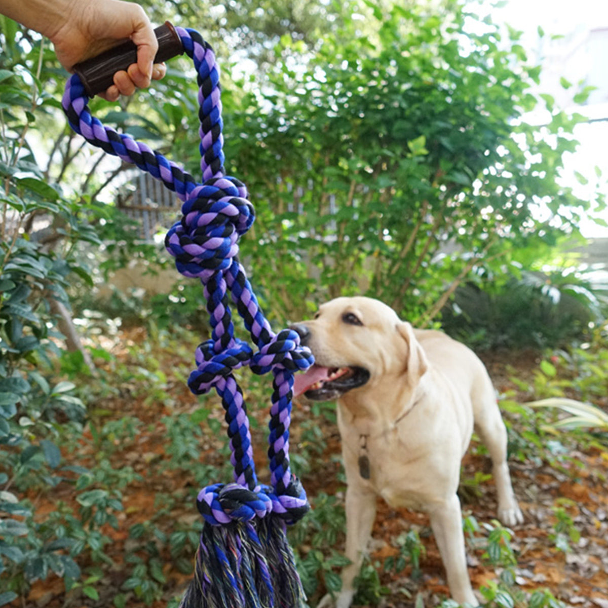 Pupwonders | Interactive Cotton Rope Knot Pet Toy,BlUE