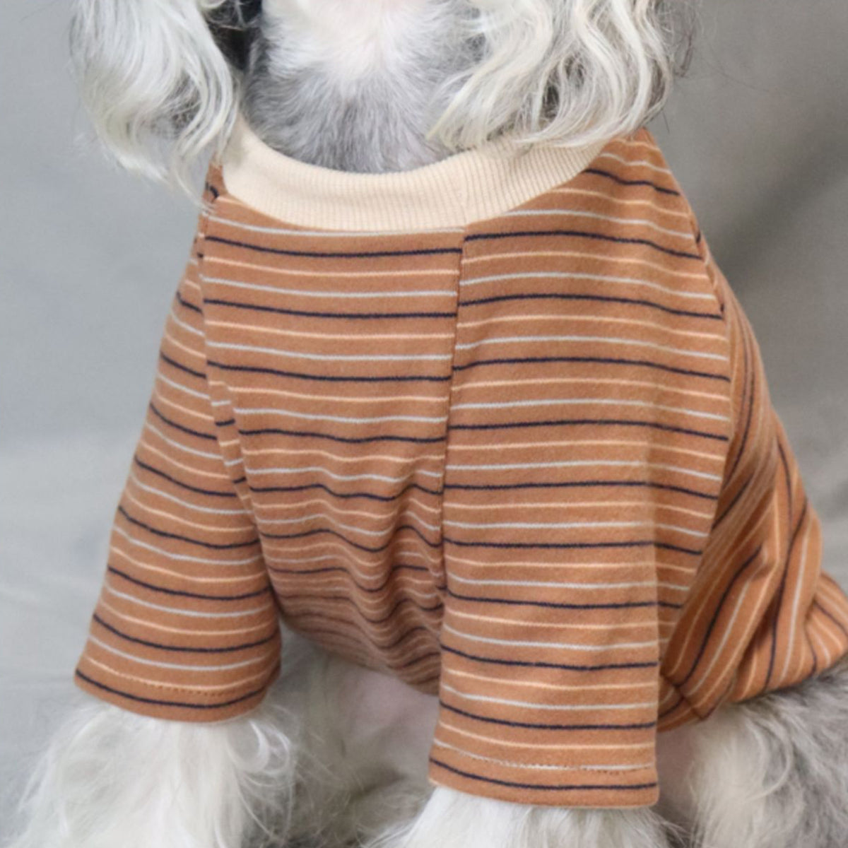 Pupwonders | Striped Teddy Velour Dog T-shirt,Green,White,Brown,Yellow
