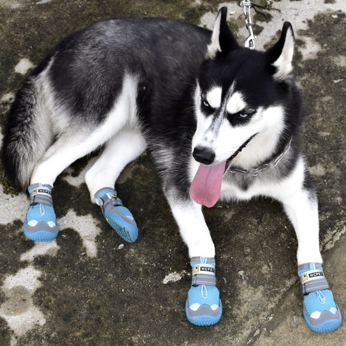 Pupwonders | Anti-Slip Durable Pet Shoes - Breathable,Blue,Brown,Black,Red