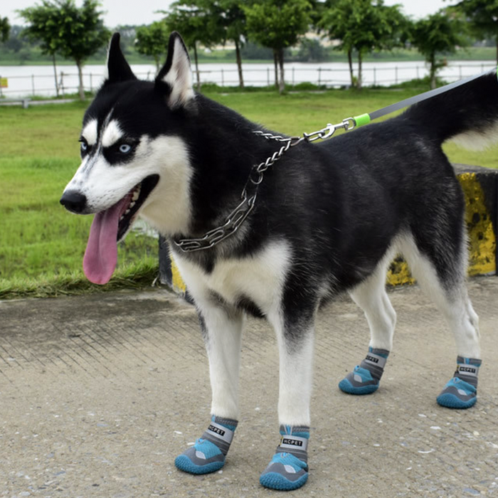 Pupwonders | Anti-Slip Durable Pet Shoes - Breathable,Blue