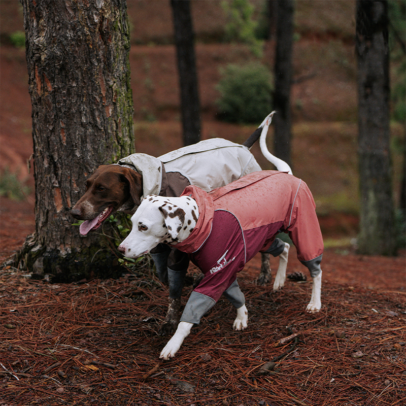 BlackDoggy | Four Leg Covered Dog Raincoat - Pink