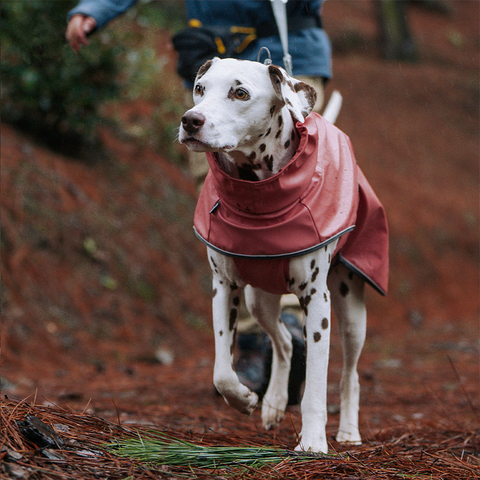 BlackDoggy | Waterproof Dog Rain Jacket/Riancoat - Pink,Pink