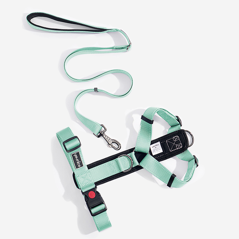 Pupwonders | 4-in-1 Anti-shock Dog Harness Set
