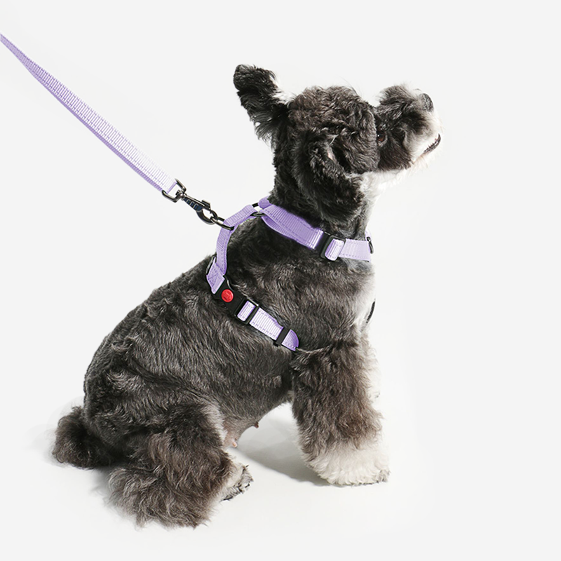 Pupwonders | 4-in-1 Anti-shock Dog Harness,Purple