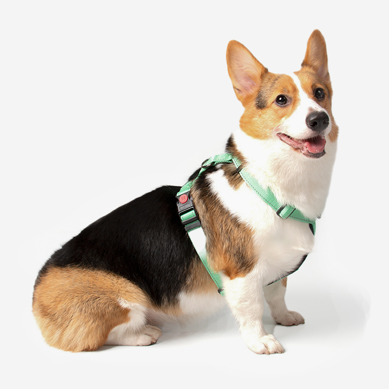 Pupwonders | 4-in-1 Anti-shock Dog Harness,Green
