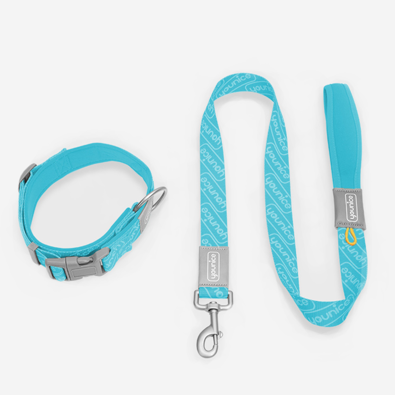 Pupwonders | Double-Layer Thickened Dog Collar Set