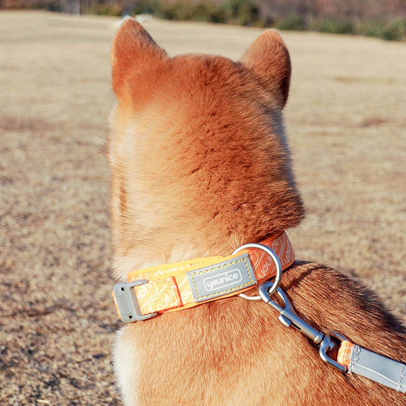 Pupwonders | Double-Layer Thickened Dog Collar,Orange