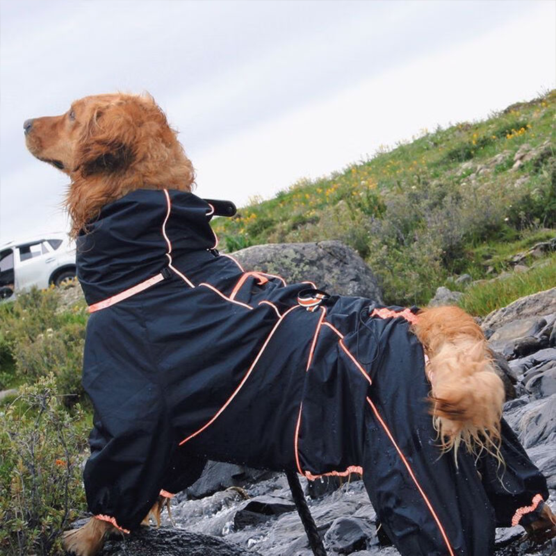 Pupwonders | Waterproof Outdoor Dog Raincoat,Black,Grey