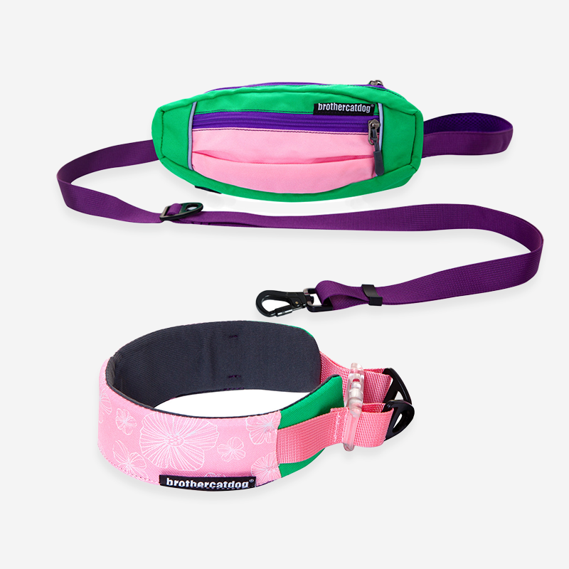 Pupwonders | Printed Thickened Dog Collar Set