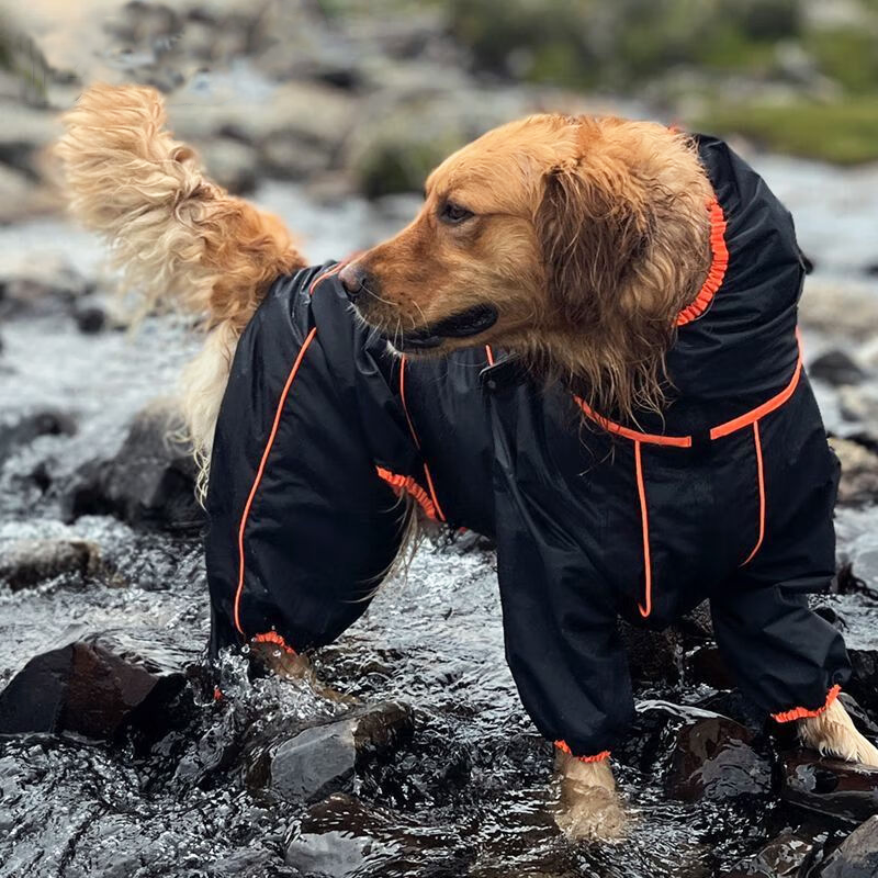Pupwonders | Waterproof Outdoor Dog Raincoat,Black,Grey