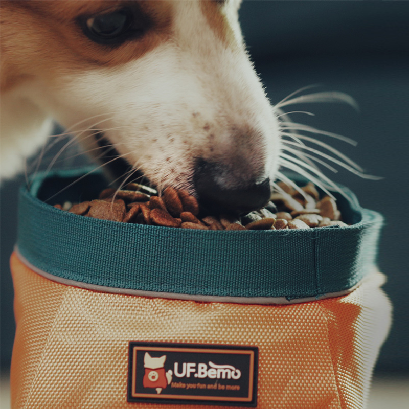 Outdoor dog bowl hot sale