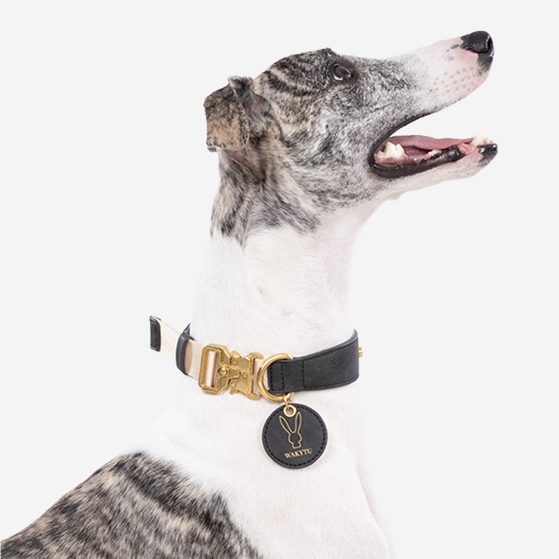 Pupwonders | PU Leather Dog Collar Set,Black