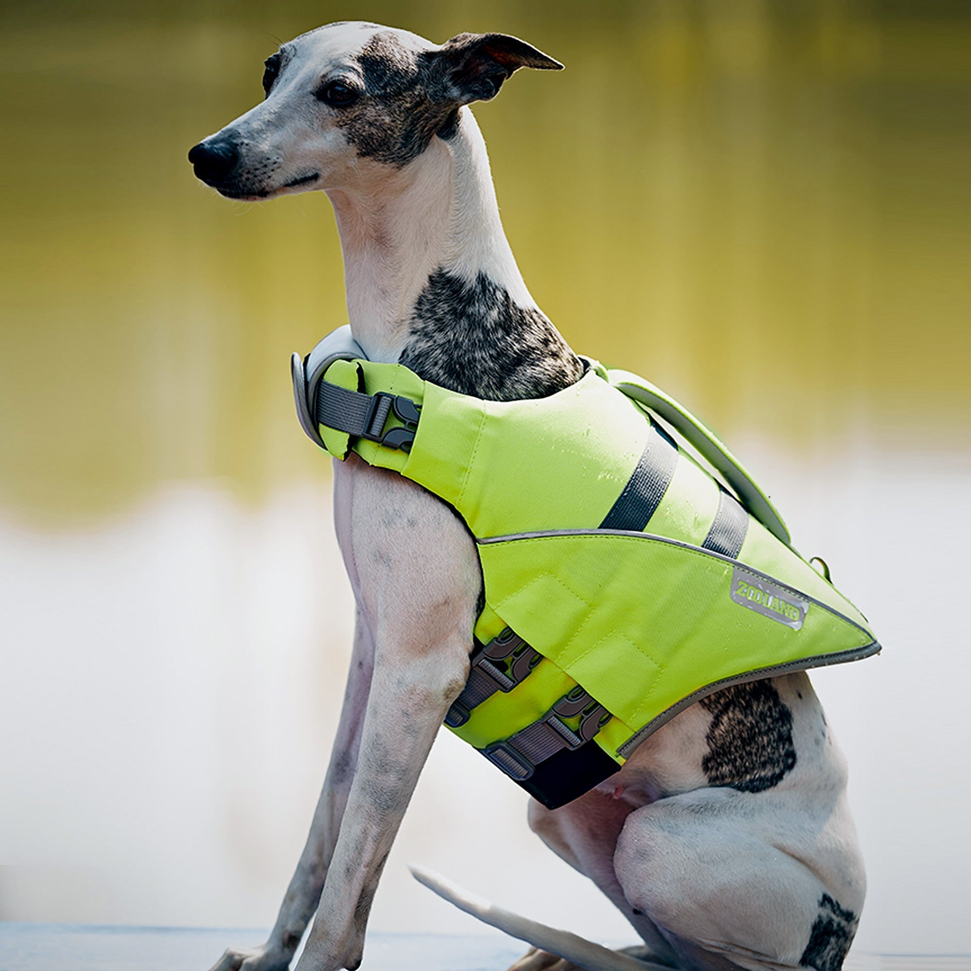 Dogs Swimming Clothes-Life Jacket,Green