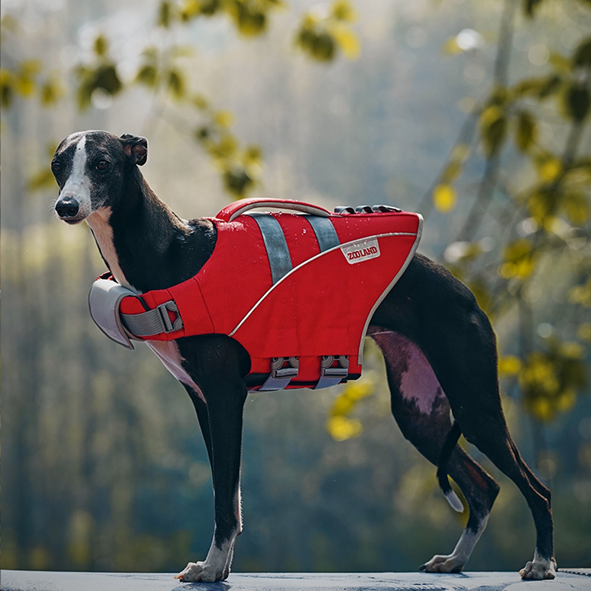 Dogs Swimming Clothes-Life Jacket,Red